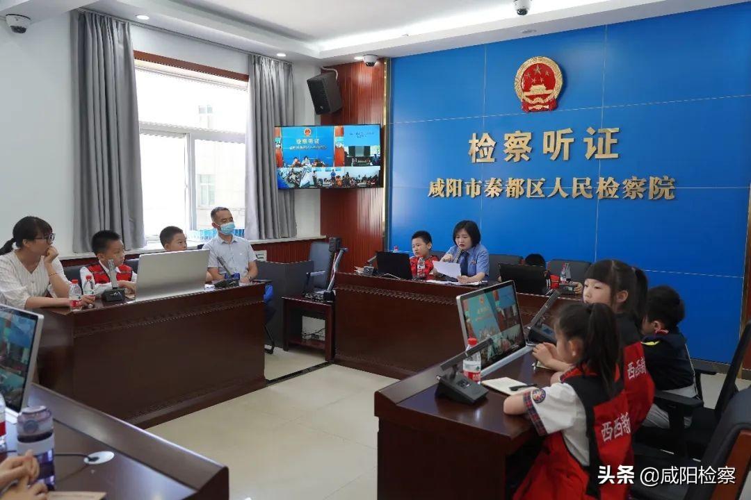 令期龙鸡兔出特，分前合后天上桂打一正确生肖的警惕虚假宣传-全面解答解释落实